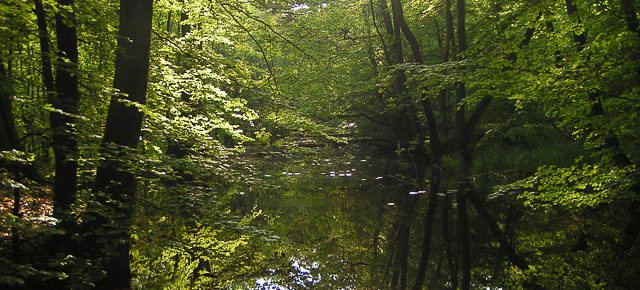 Wald- und Wassererlebnispfad