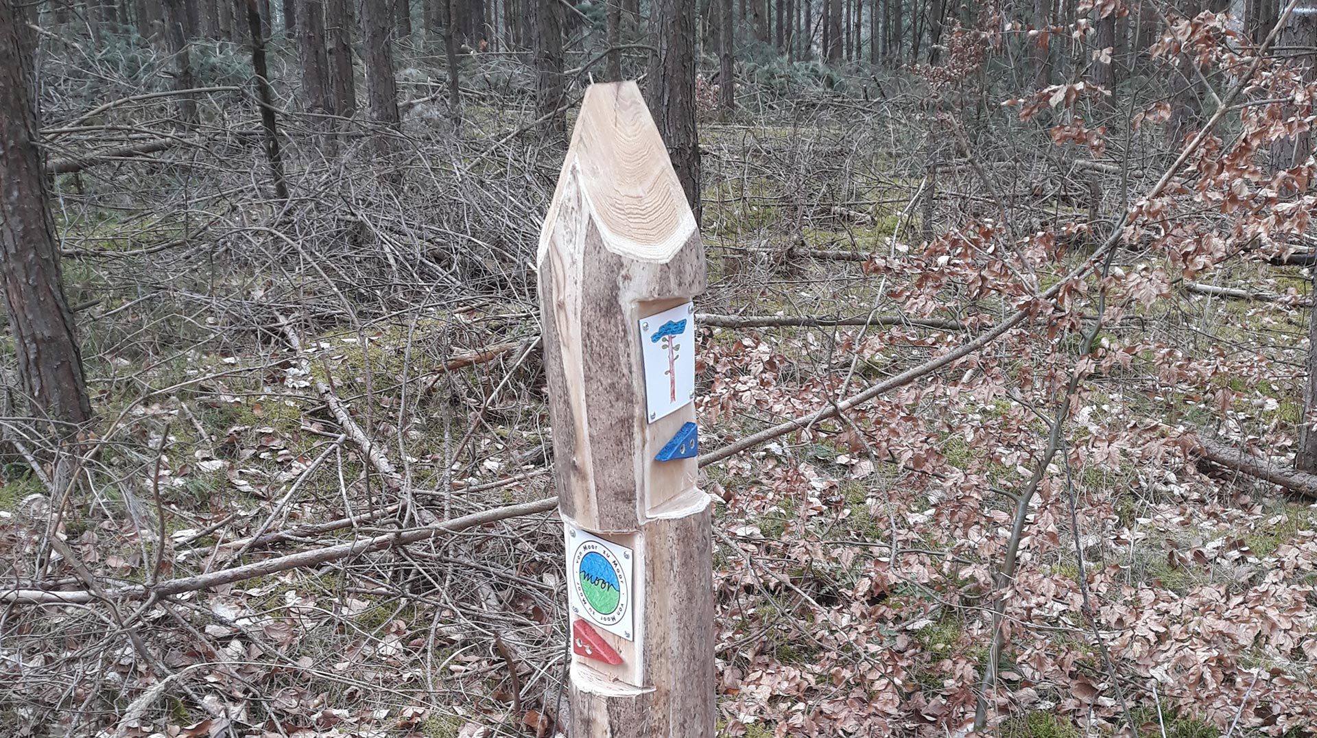 NatueParkHaus - Pfahl mit Beschriftung im Wald