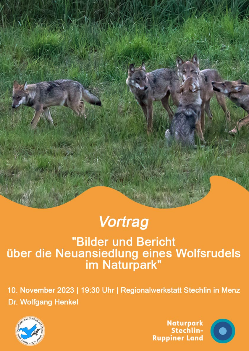 Plakat-zum-Vortrag-Wolf_112