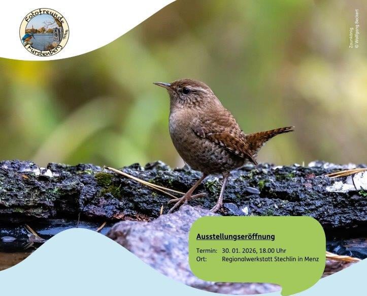 Fotoausstellung Fotofreunde (1)